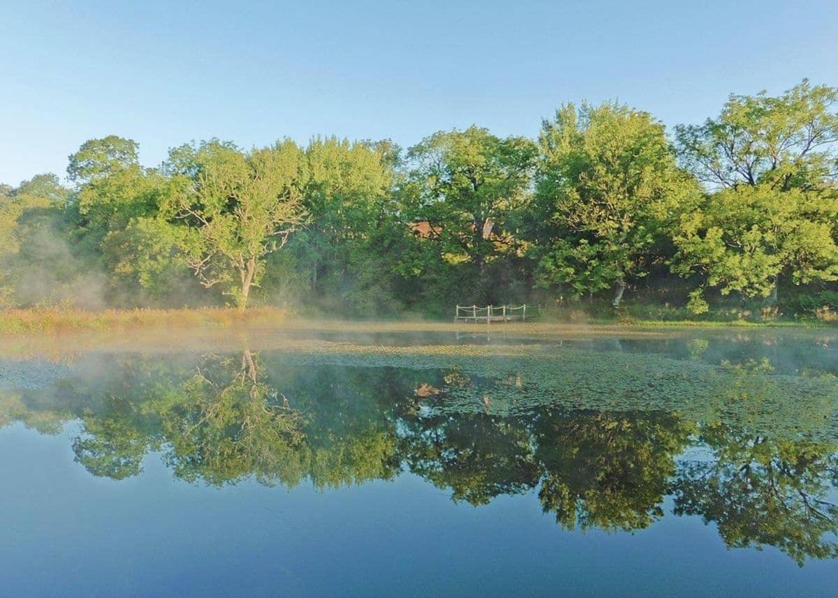 Mill Meadow Lodges Llanbister Екстериор снимка
