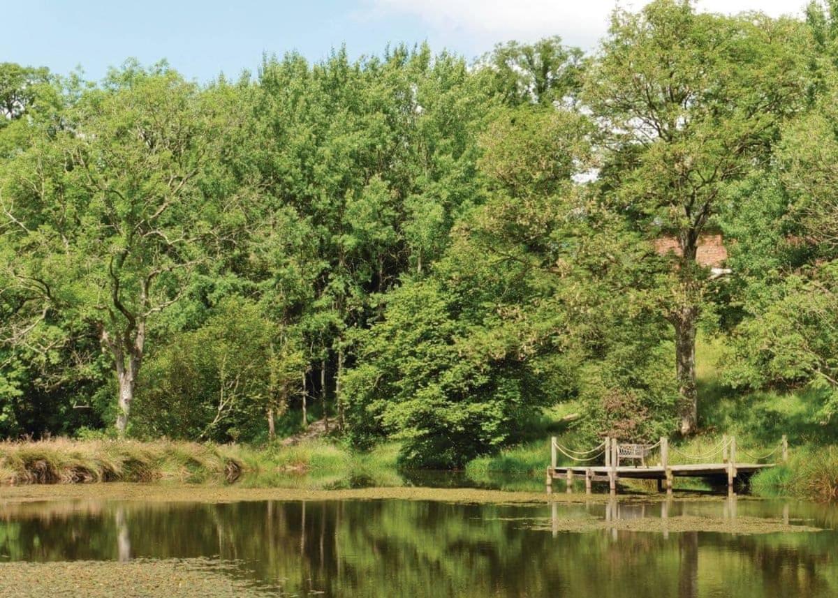 Mill Meadow Lodges Llanbister Екстериор снимка